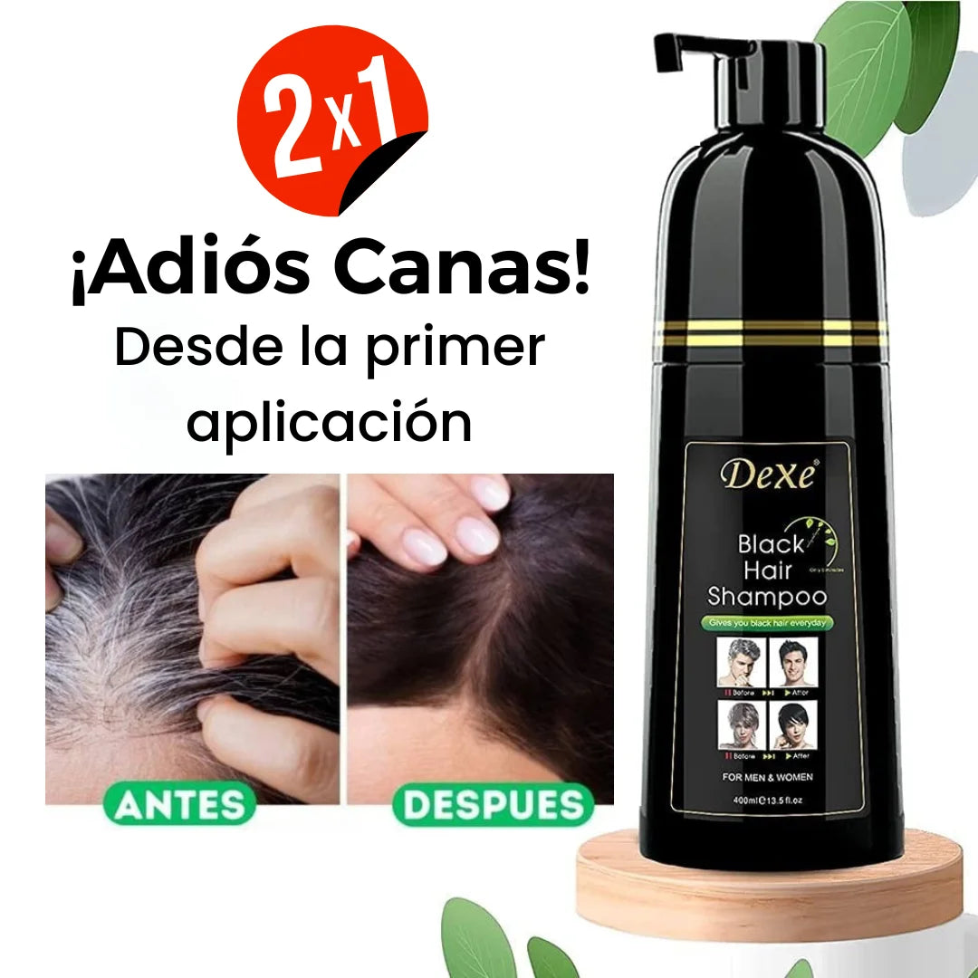 Shampoo anti canas ¡promoción 2x1!
